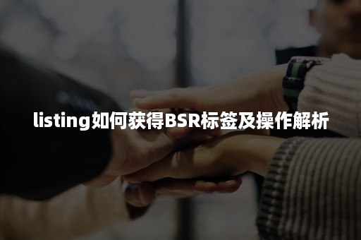 listing如何获得BSR标签及操作解析