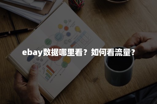 ebay数据哪里看？如何看流量？