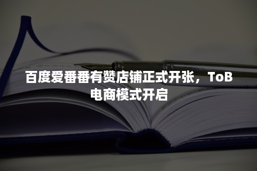 百度爱番番有赞店铺正式开张，ToB电商模式开启