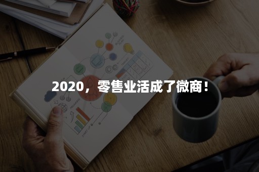 2020，零售业活成了微商！