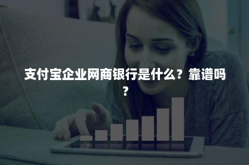 支付宝企业网商银行是什么？靠谱吗？
