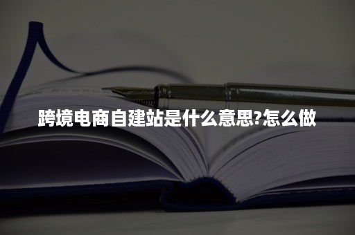 跨境电商自建站是什么意思?怎么做