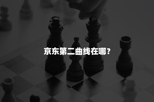 京东第二曲线在哪？