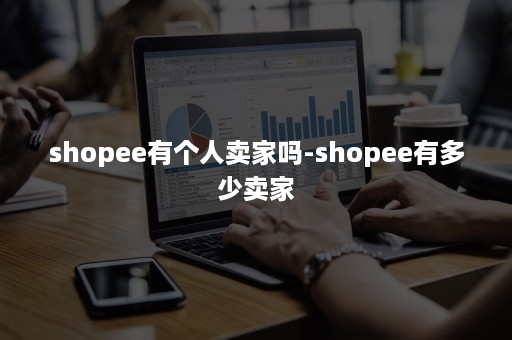 shopee有个人卖家吗-shopee有多少卖家