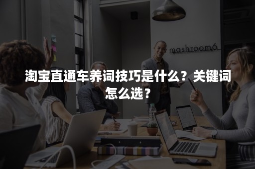 淘宝直通车养词技巧是什么？关键词怎么选？