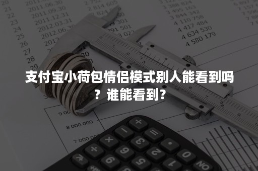 支付宝小荷包情侣模式别人能看到吗？谁能看到？