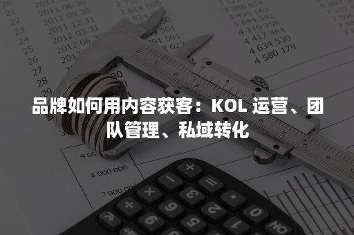 品牌如何用内容获客：KOL 运营、团队管理、私域转化