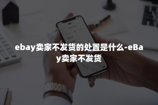 ebay卖家不发货的处置是什么-eBay卖家不发货