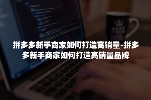 拼多多新手商家如何打造高销量-拼多多新手商家如何打造高销量品牌