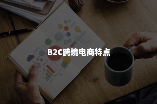 B2C跨境电商特点