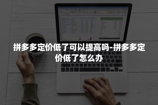 拼多多定价低了可以提高吗-拼多多定价低了怎么办