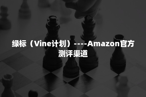 绿标（Vine计划）----Amazon官方测评渠道