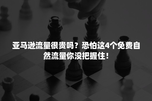 亚马逊流量很贵吗？恐怕这4个免费自然流量你没把握住！