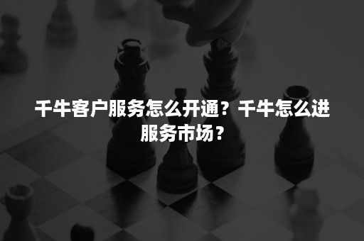 千牛客户服务怎么开通？千牛怎么进服务市场？