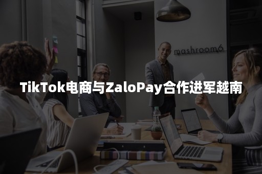 TikTok电商与ZaloPay合作进军越南