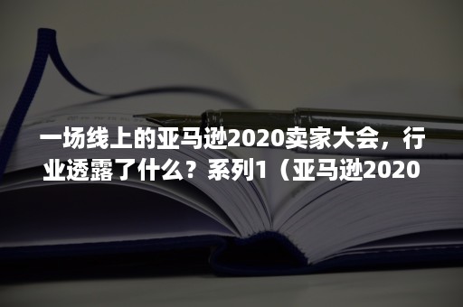 一场线上的亚马逊2020卖家大会，行业透露了什么？系列1（亚马逊2020热销产品）