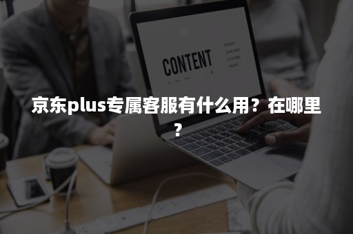 京东plus专属客服有什么用？在哪里？