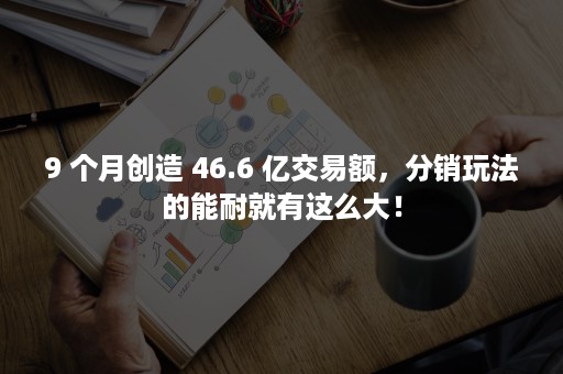 9 个月创造 46.6 亿交易额，分销玩法的能耐就有这么大！