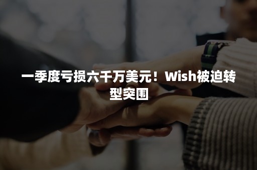 一季度亏损六千万美元！Wish被迫转型突围