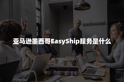 亚马逊墨西哥EasyShip服务是什么