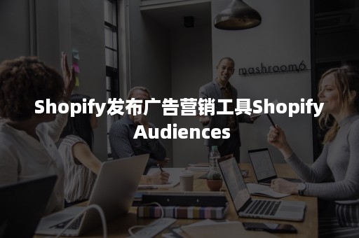 Shopify发布广告营销工具Shopify Audiences