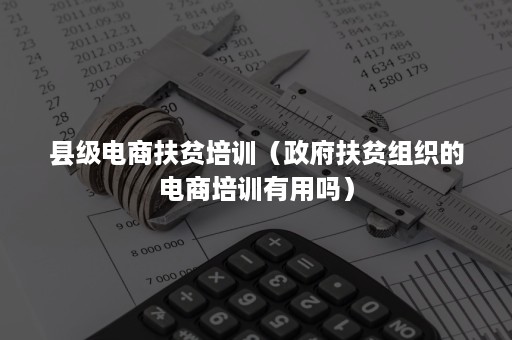 县级电商扶贫培训（政府扶贫组织的电商培训有用吗）