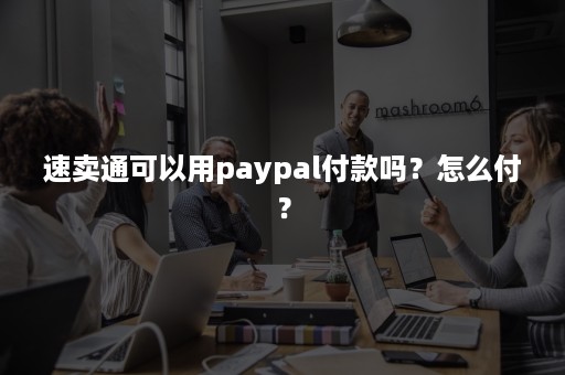 速卖通可以用paypal付款吗？怎么付？