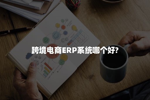 跨境电商ERP系统哪个好?