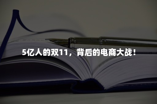 5亿人的双11，背后的电商大战！