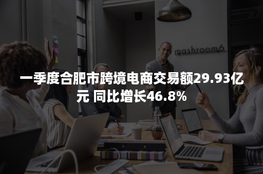 一季度合肥市跨境电商交易额29.93亿元 同比增长46.8%