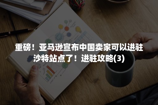 重磅！亚马逊宣布中国卖家可以进驻沙特站点了！进驻攻略(3)