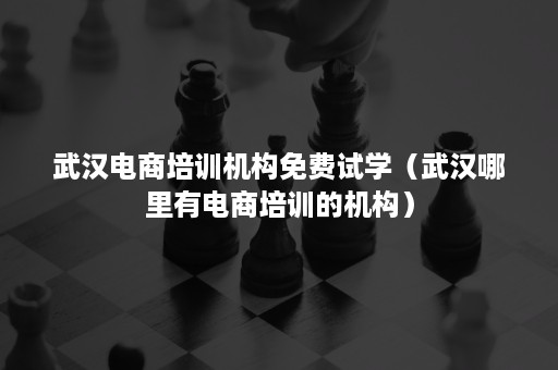 武汉电商培训机构免费试学（武汉哪里有电商培训的机构）