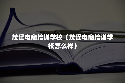 茂泽电商培训学校（茂泽电商培训学校怎么样）