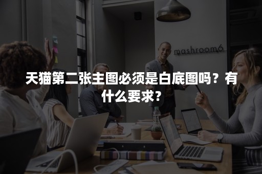 天猫第二张主图必须是白底图吗？有什么要求？