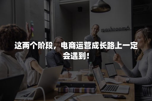 这两个阶段，电商运营成长路上一定会遇到！