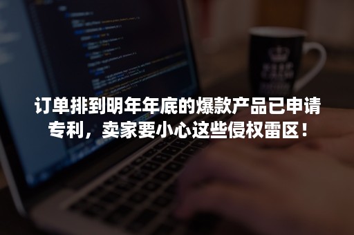 订单排到明年年底的爆款产品已申请专利，卖家要小心这些侵权雷区！