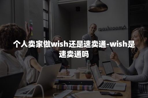 个人卖家做wish还是速卖通-wish是速卖通吗