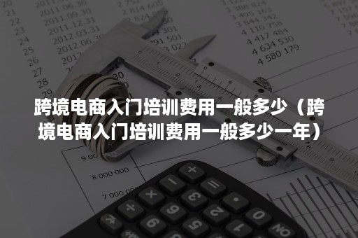 跨境电商入门培训费用一般多少（跨境电商入门培训费用一般多少一年）