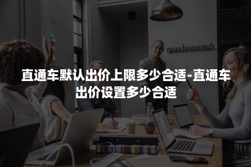直通车默认出价上限多少合适-直通车出价设置多少合适 直通车默认出价上限多少合适-直通车出价设置多少合适