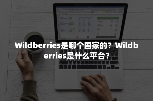 Wildberries是哪个国家的？Wildberries是什么平台？