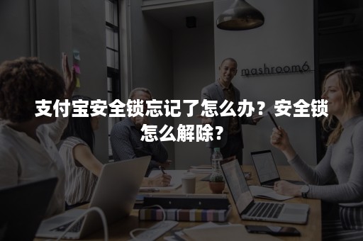 支付宝安全锁忘记了怎么办？安全锁怎么解除？