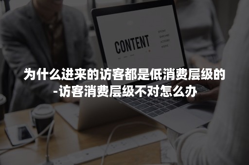 为什么进来的访客都是低消费层级的-访客消费层级不对怎么办