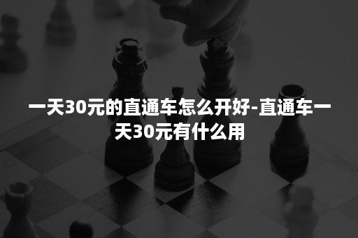 一天30元的直通车怎么开好-直通车一天30元有什么用 一天30元的直通车怎么开好-直通车一天30元有什么用