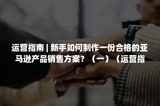 运营指南 | 新手如何制作一份合格的亚马逊产品销售方案？（一）（运营指南裂变宝）