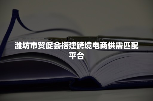 潍坊市贸促会搭建跨境电商供需匹配平台