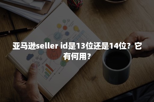 亚马逊seller id是13位还是14位？它有何用？