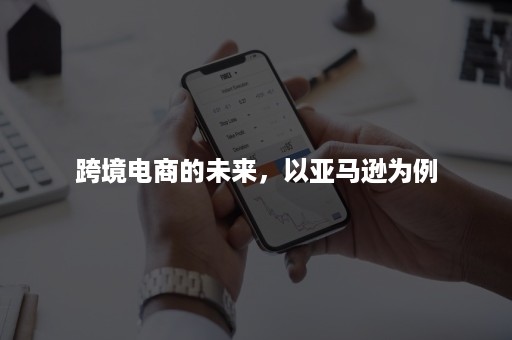 跨境电商的未来，以亚马逊为例