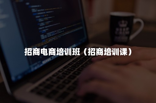 招商电商培训班（招商培训课）