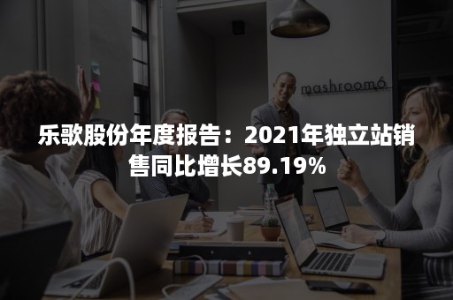 乐歌股份年度报告：2021年独立站销售同比增长89.19%