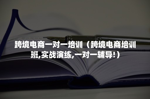 跨境电商一对一培训（跨境电商培训班,实战演练,一对一辅导!）